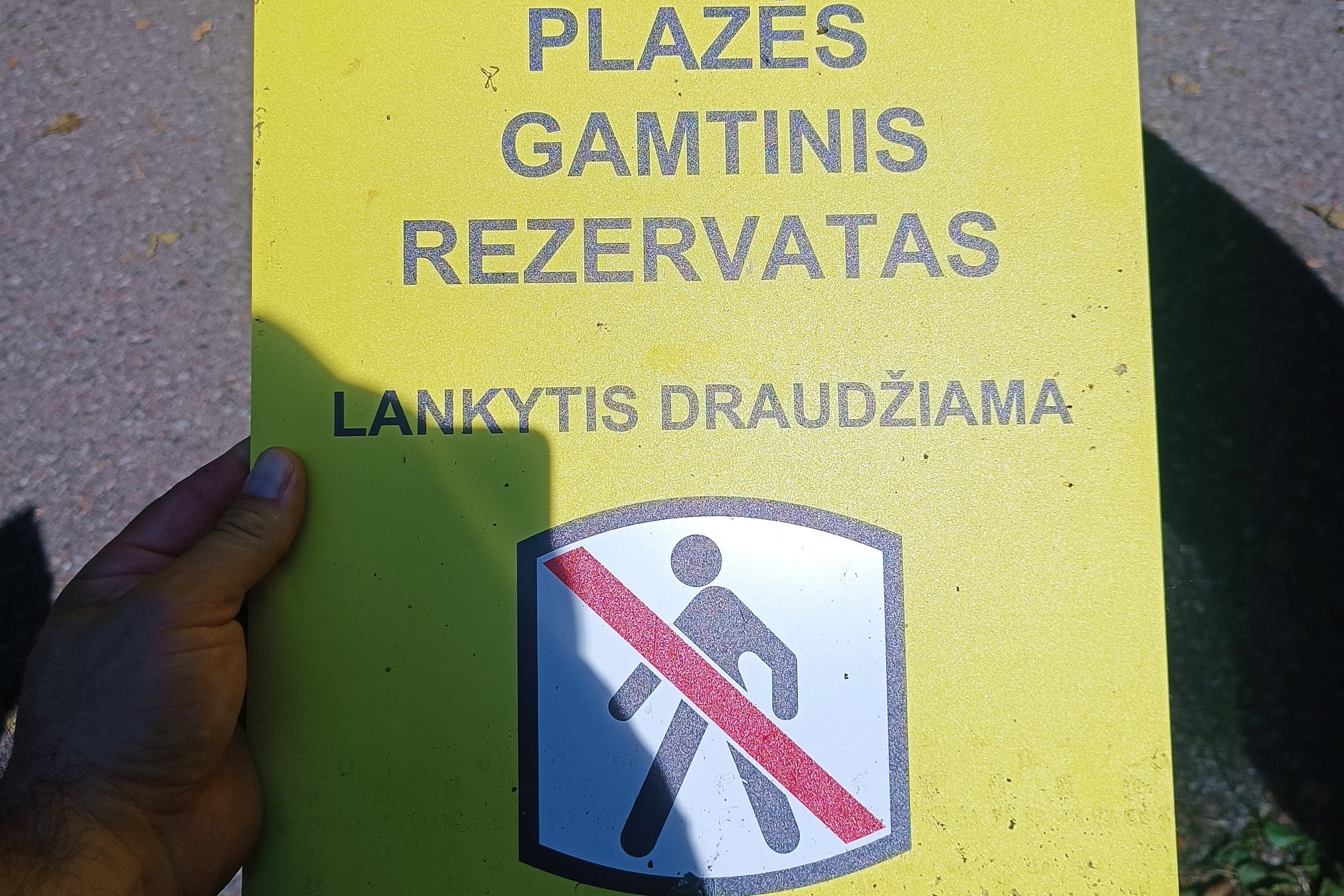 Iliustracija