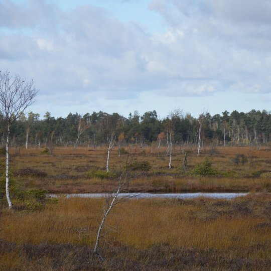 Iliustracija