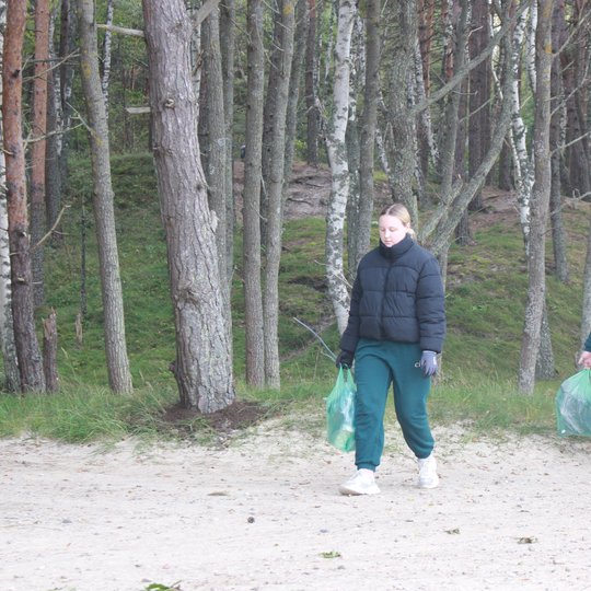 Iliustracija