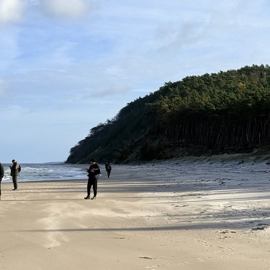 Iliustracija