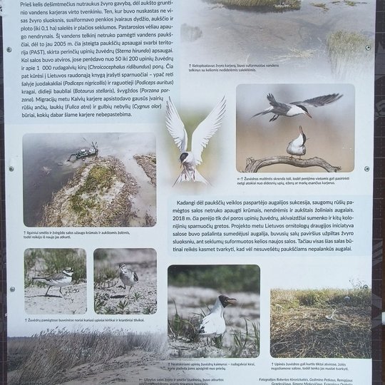 Iliustracija