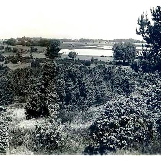 Iliustracija