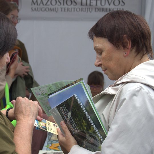 Iliustracija
