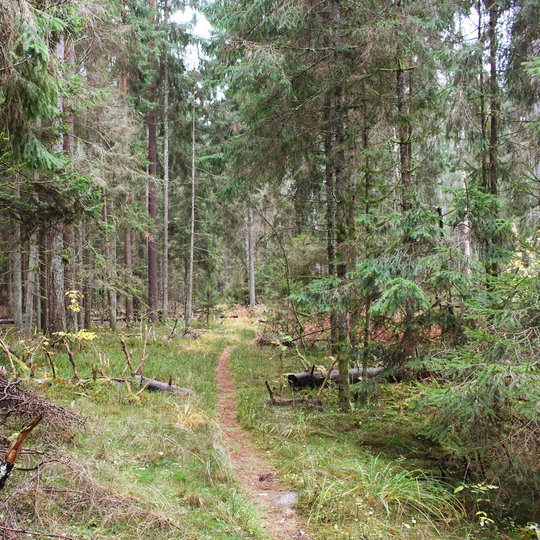 Iliustracija