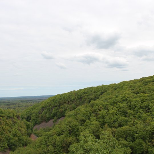 Iliustracija
