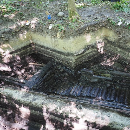 Iliustracija