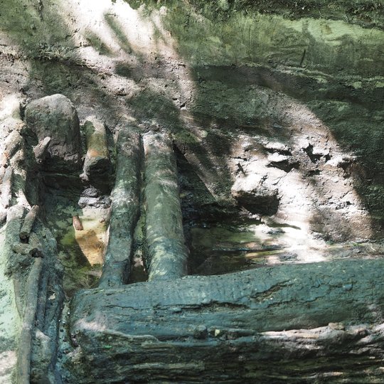 Iliustracija