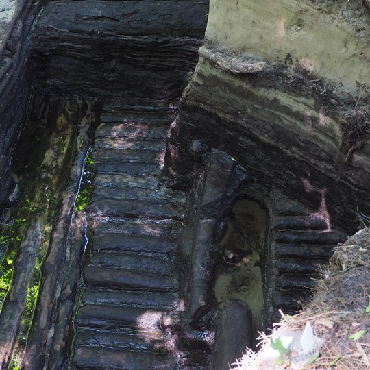 Iliustracija