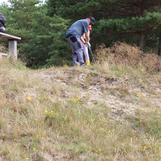 Iliustracija