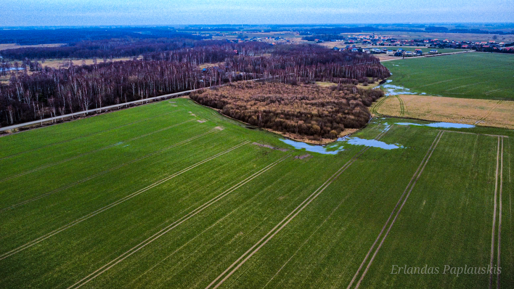 dji_fly_20250109_144756_503_1736427049968_photo_optimized (1).jpg