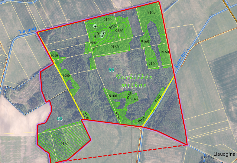 2025-09-11 (1).png
