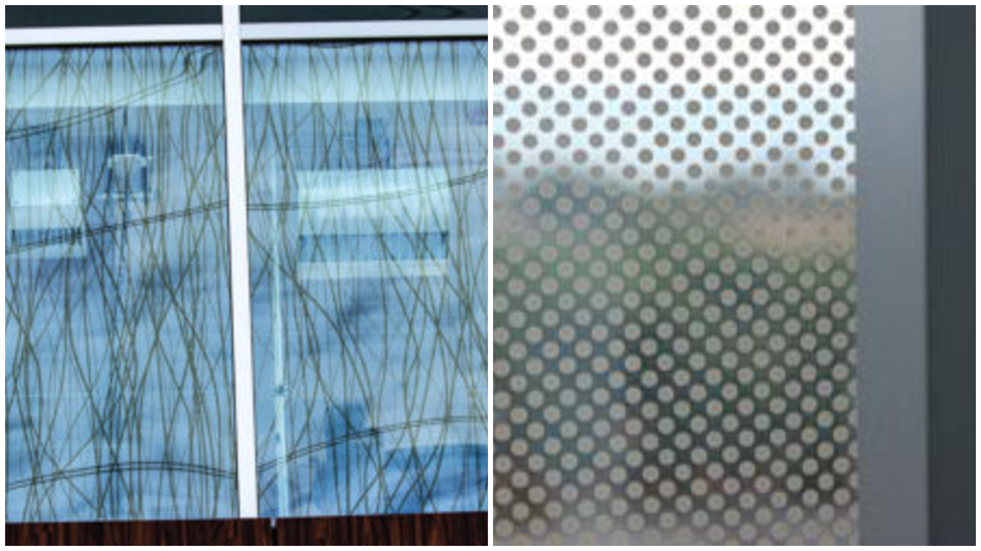 photo-collage.png (10).png