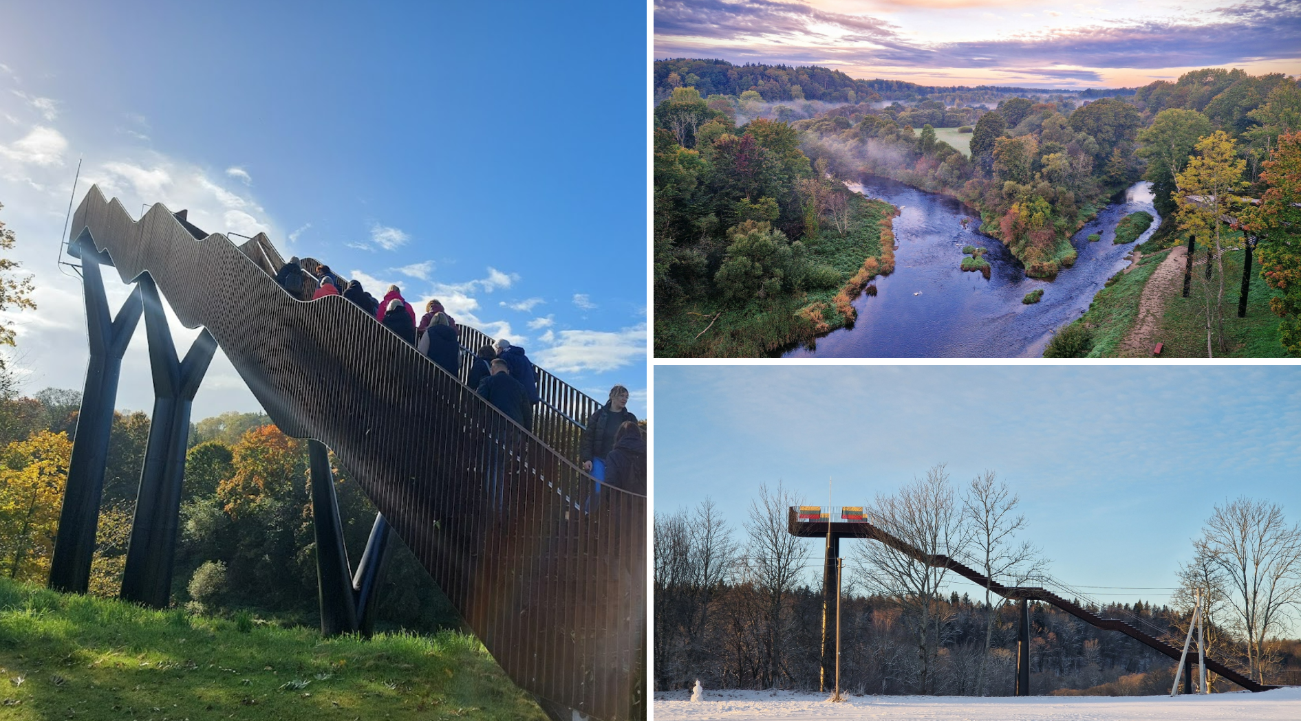 photo-collage.png (20).png