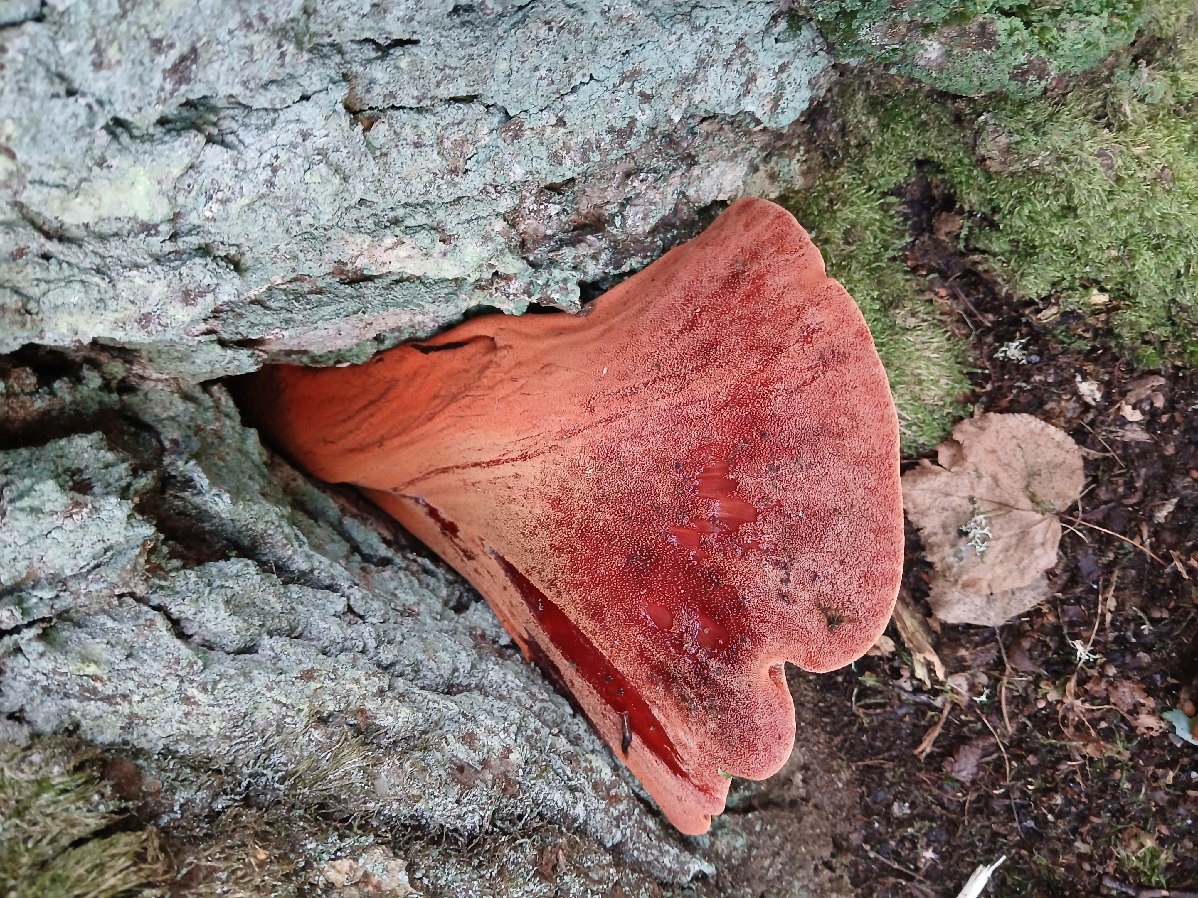 20260922_110306.jpg